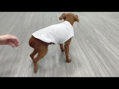 カスタム印刷ポリエステル犬シャツ 昇華ペット服 昇華ブランクTシャツ 犬
