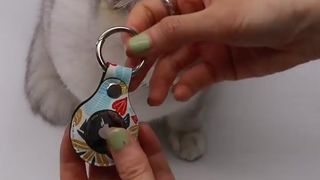 Custom PU Leather Dog Collars For Sublimation